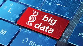 大数据死生劫 行业冰火两重天